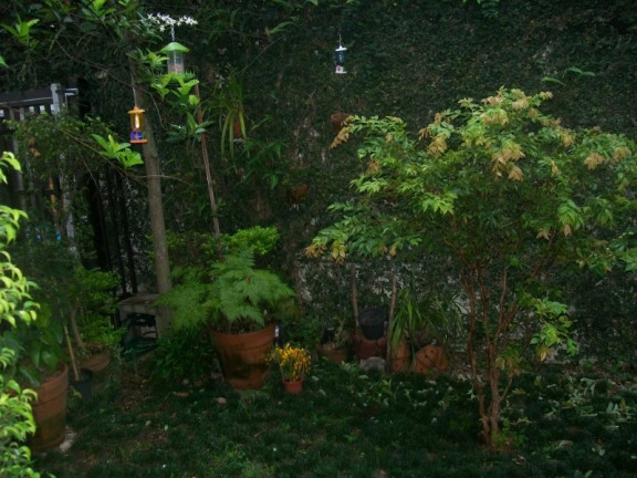 Imagem Casa com 2 Quartos à Venda, 200 m² em Centro - São Bernardo Do Campo