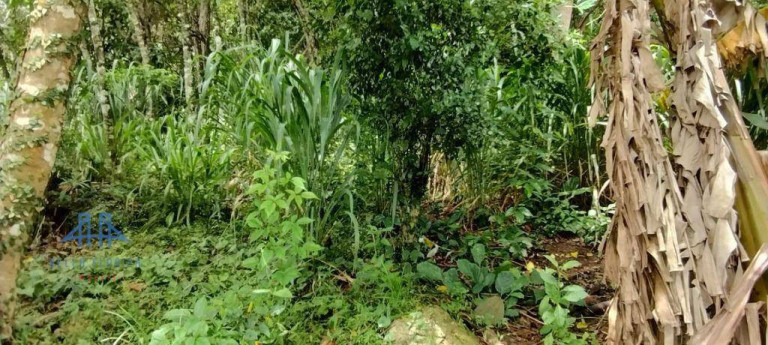 Imagem Terreno à Venda, 471 m² em Córrego Grande - Florianópolis