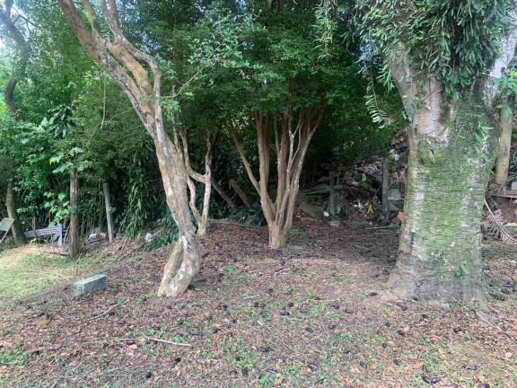 Imagem Fazenda à Venda, 1.560 m² em Vila Caputera - Mogi Das Cruzes Imagem Fazenda à Venda, 1.560 m² em Vila Caputera - Mogi Das Cruzes