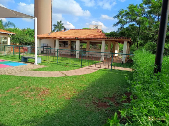 Imagem Apartamento com 2 Quartos à Venda, 47 m² em Parque Yolanda (nova Veneza) - Sumaré Imagem Apartamento com 2 Quartos à Venda, 47 m² em Parque Yolanda (nova Veneza) - Sumaré