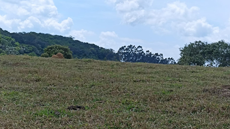 Imagem Chácara com 1 Quarto à Venda, 10 m² em Capim Da Angola - Paraibuna