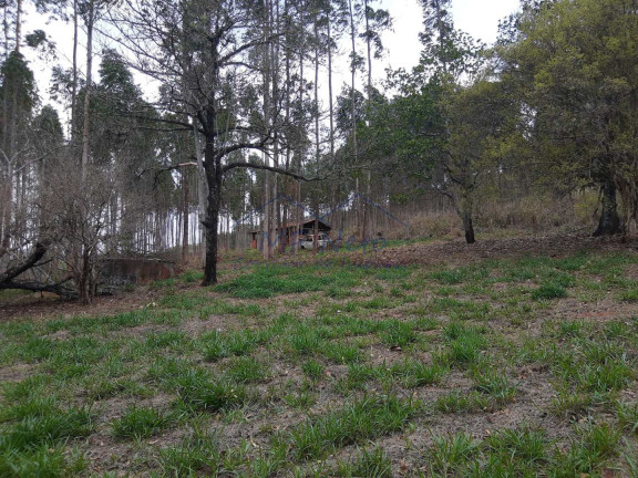 Imagem Fazenda à Venda, 145.200 m² em Zona Rural - Analândia Imagem Fazenda à Venda, 145.200 m² em Zona Rural - Analândia