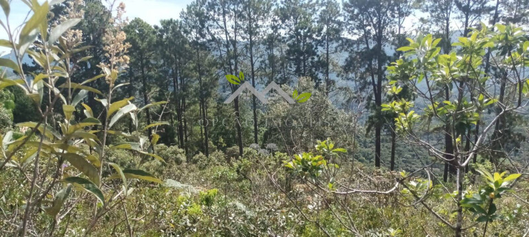 Imagem Terreno à Venda, 5 m² em Cidade Do Sol Ii - Campos Do Jordão Imagem Terreno à Venda, 5 m² em Cidade Do Sol Ii - Campos Do Jordão