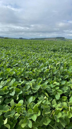 Imagem Fazenda à Venda, 2.698 m² em Rural - Itaporanga Imagem Fazenda à Venda, 2.698 m² em Rural - Itaporanga