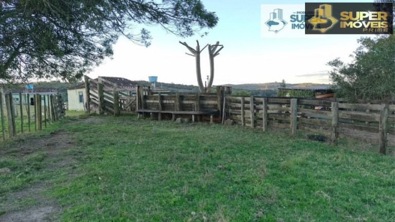 Imagem Imóvel com 2 Quartos à Venda, 260.000 m² em Centro - Piratini