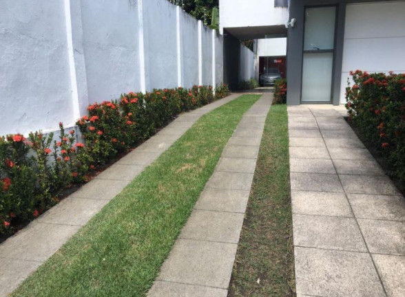 Imagem Sala Comercial para Alugar, 672 m² em Madalena - Recife