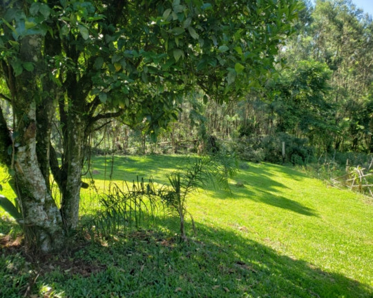 Imagem Imóvel à Venda, em Linha Imperial - Nova Petrópolis Imagem Imóvel à Venda, em Linha Imperial - Nova Petrópolis