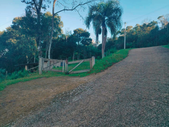 Imagem Terreno à Venda, 2.800 m² em Borghetto - Garibaldi