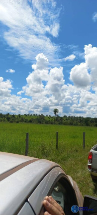 Imagem Fazenda à Venda, 75 m² em Zona Rural - Mozarlândia Imagem Fazenda à Venda, 75 m² em Zona Rural - Mozarlândia