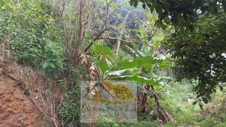 Imagem Terreno à Venda, 7.800 m² em Varginha - Nova Friburgo Imagem Terreno à Venda, 7.800 m² em Varginha - Nova Friburgo