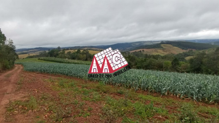 Imagem Imóvel com 3 Quartos à Venda, 968.000 m² em Pilar Do Sul - Pilar Do Sul Imagem Imóvel com 3 Quartos à Venda, 968.000 m² em Pilar Do Sul - Pilar Do Sul