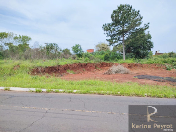 Imagem Terreno à Venda, 385 m² em Campestre - São Leopoldo