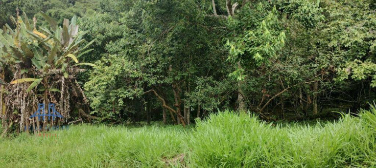 Imagem Terreno à Venda, 471 m² em Córrego Grande - Florianópolis