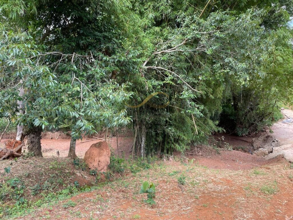 Imagem Imóvel com 3 Quartos à Venda, 8.000 m² em Satélite - Juatuba