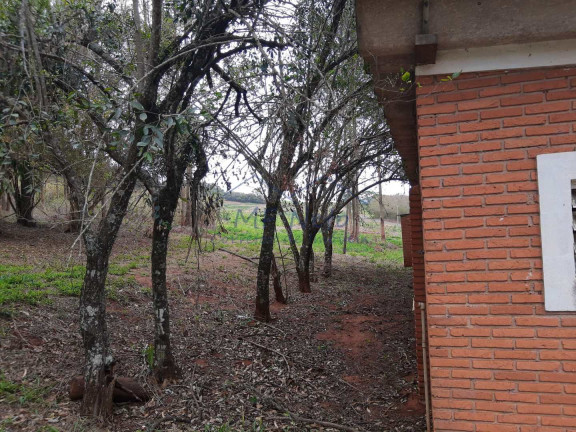 Imagem Fazenda à Venda, 145.200 m² em Zona Rural - Analândia Imagem Fazenda à Venda, 145.200 m² em Zona Rural - Analândia