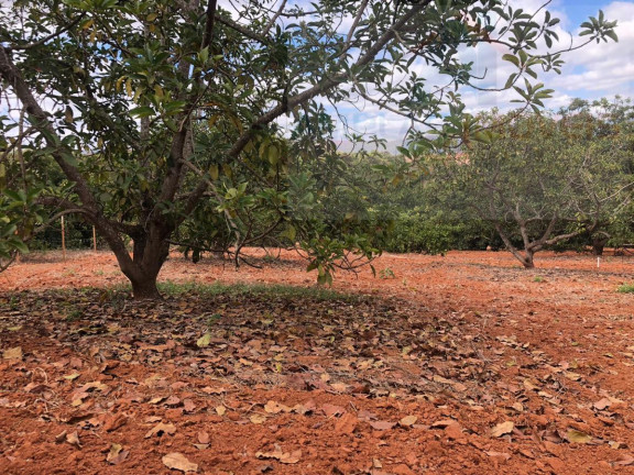 Imagem Chácara à Venda, 2.000 m² em Serra Azul