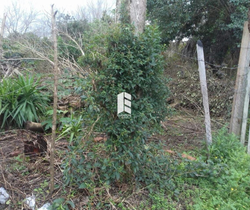 Imagem Terreno à Venda, 1.000 m² em Pinheiro Machado - Santa Maria Imagem Terreno à Venda, 1.000 m² em Pinheiro Machado - Santa Maria