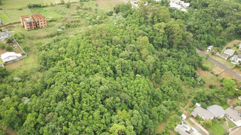 Imagem Terreno à Venda, 190.000 m² em Cristal - Concórdia Imagem Terreno à Venda, 190.000 m² em Cristal - Concórdia
