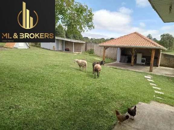 Imagem Imóvel com 3 Quartos à Venda, 5.000 m² em Cotia - São José Dos Pinhais Imagem Imóvel com 3 Quartos à Venda, 5.000 m² em Cotia - São José Dos Pinhais
