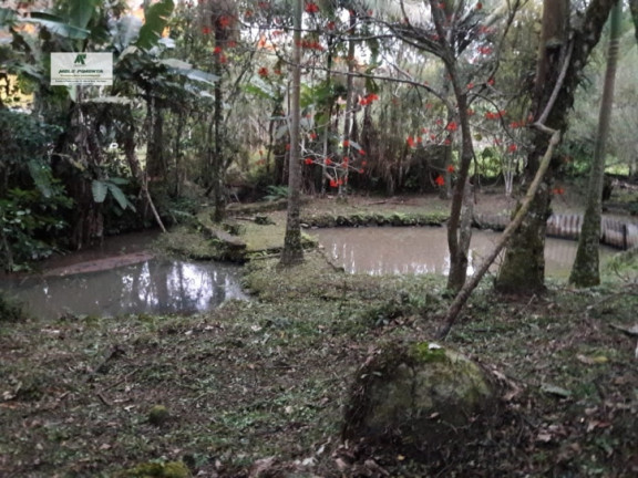 Imagem Chácara com 4 Quartos à Venda, 1.100 m² em Alto Da Serra - São Roque Imagem Chácara com 4 Quartos à Venda, 1.100 m² em Alto Da Serra - São Roque