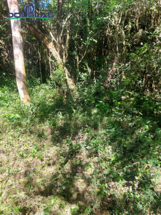Terreno à Venda, 8.000 m² em águas Claras - Viamão