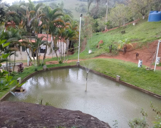 Imagem Imóvel com 4 Quartos à Venda, 5.000 m² em Distrito De Juiz De Fora - Monte Verde(juiz De Fora)