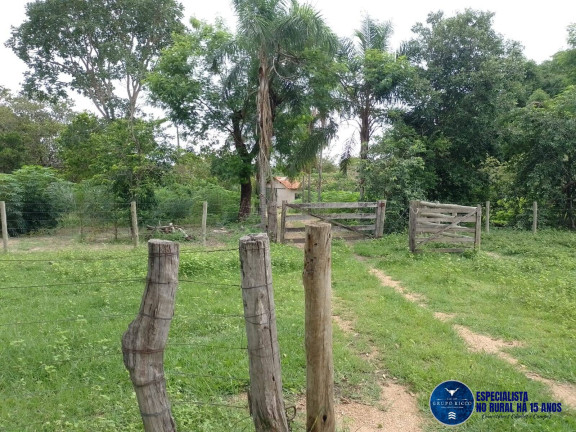 Imagem Fazenda à Venda, 40 m² em Zona Rural - Aragarças Imagem Fazenda à Venda, 40 m² em Zona Rural - Aragarças