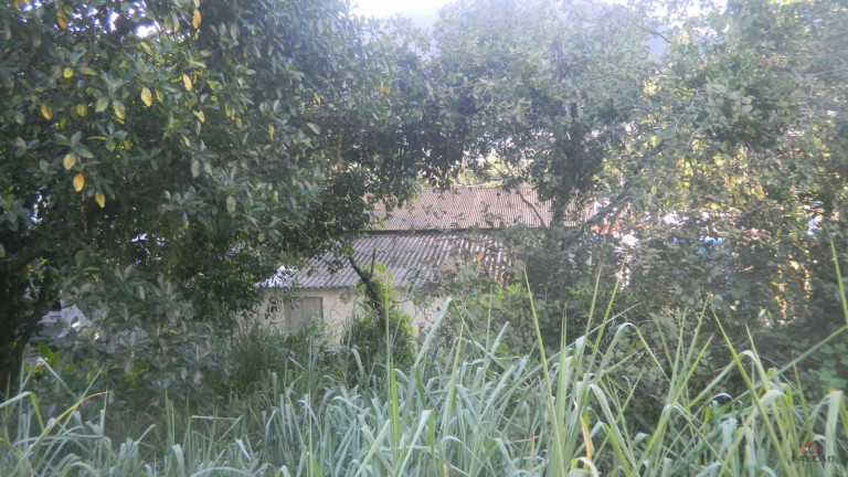 Imagem Terreno à Venda, 1.356 m² em Marapé - Santos Imagem Terreno à Venda, 1.356 m² em Marapé - Santos