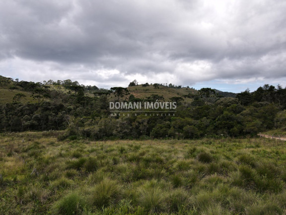 Imagem Terreno à Venda, 7.500 m² em Região Do Parque Da Ferradura - Campos Do Jordão Imagem Terreno à Venda, 7.500 m² em Região Do Parque Da Ferradura - Campos Do Jordão