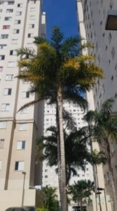Imagem Apartamento com 2 Quartos à Venda, 46 m² em Vila Nova Curuçá - São Paulo Imagem Apartamento com 2 Quartos à Venda, 46 m² em Vila Nova Curuçá - São Paulo