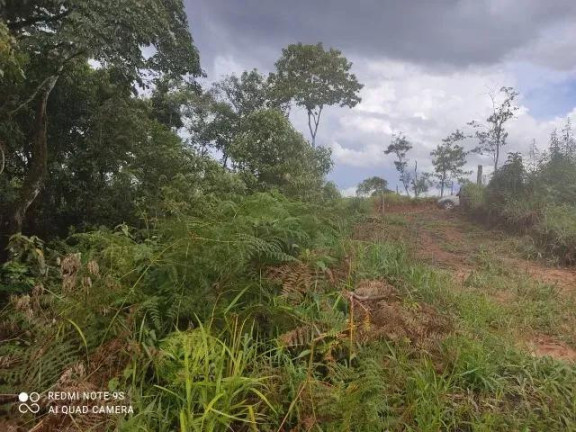 Imagem Imóvel à Venda, 174.240 m² em Sao Silvestre - Campo Largo Imagem Imóvel à Venda, 174.240 m² em Sao Silvestre - Campo Largo