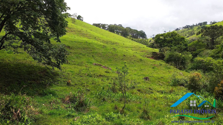 Imagem Chácara à Venda, 7 m² em Centro - Paraisópolis