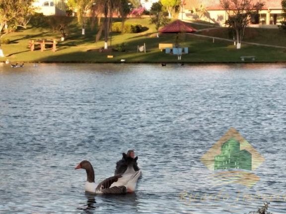 Imagem Chácara com 4 Quartos à Venda, 1.020 m² em Terras De Santa Rosa - Salto