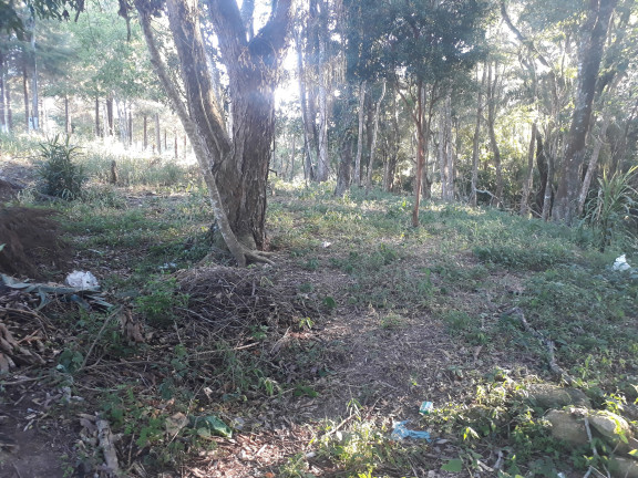 Imagem Terreno à Venda, 1.000 m² em Ortizes - Piedade Imagem Terreno à Venda, 1.000 m² em Ortizes - Piedade
