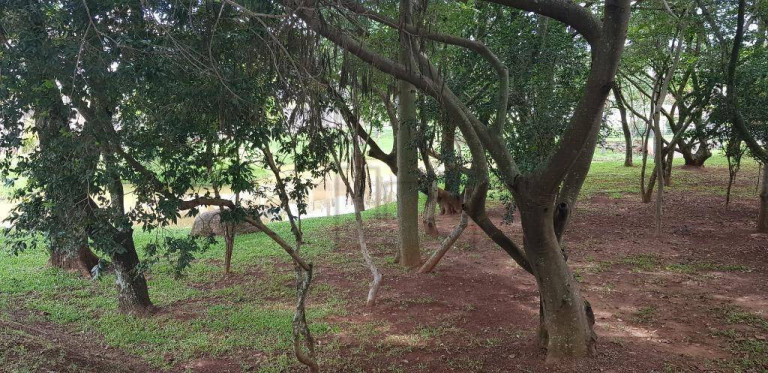 Imagem Casa com 4 Quartos à Venda ou Locação, 396 m² em Condomínio Tivoli - Sorocaba