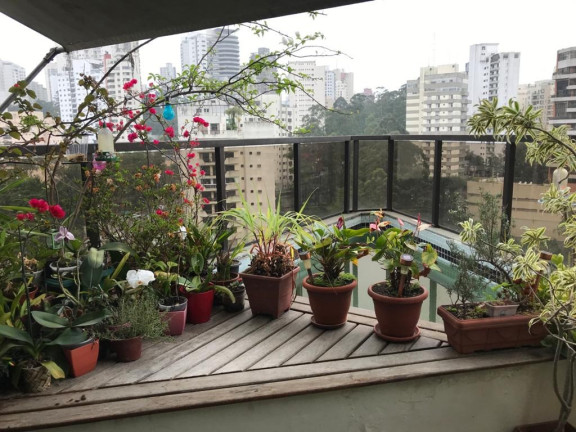 Imagem Imóvel com 4 Quartos à Venda, 200 m² em Vila Andrade - São Paulo Imagem Imóvel com 4 Quartos à Venda, 200 m² em Vila Andrade - São Paulo