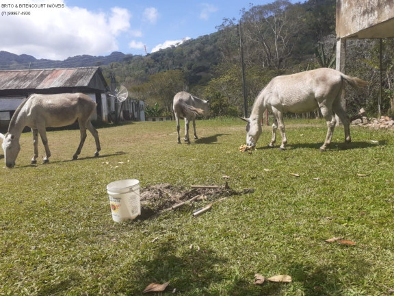 Imagem Imóvel com 3 Quartos à Venda, 600 m² em área Rural - São José Da Vitória