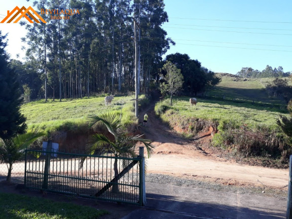 Imagem Terreno à Venda, 6 m² em Costa De Baixo - Imarui