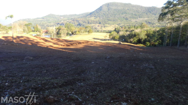 Imagem Chácara à Venda, 30.000 m² em Linha 28 - Gramado Imagem Chácara à Venda, 30.000 m² em Linha 28 - Gramado