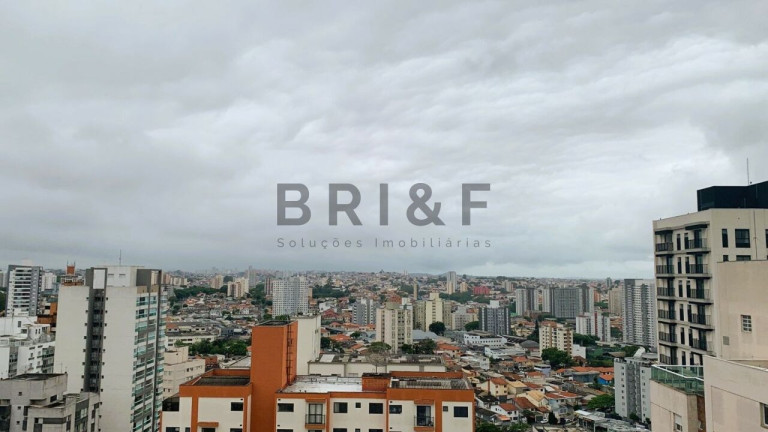 Imagem Apartamento com 4 Quartos à Venda, 173 m² em Vila Mascote - São Paulo Imagem Apartamento com 4 Quartos à Venda, 173 m² em Vila Mascote - São Paulo