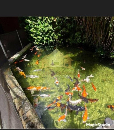 Imagem Sobrado com 3 Quartos à Venda, 140 m² em Jardim Santa Maria - São Paulo Imagem Sobrado com 3 Quartos à Venda, 140 m² em Jardim Santa Maria - São Paulo