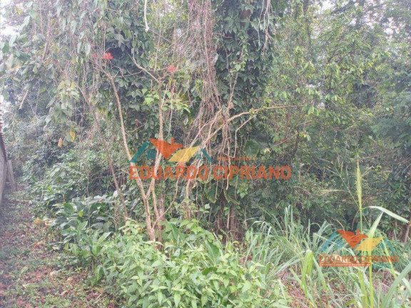 Terreno à Venda, 360 m² em Massaguaçu - Caraguatatuba