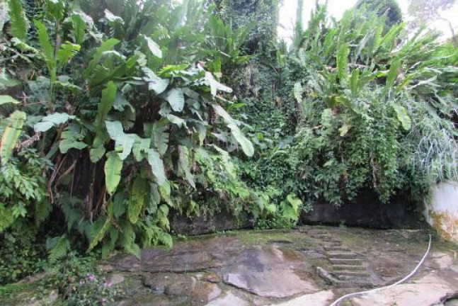 Imagem Casa com 6 Quartos à Venda, 400 m² em Jardim Botânico - Rio De Janeiro Imagem Casa com 6 Quartos à Venda, 400 m² em Jardim Botânico - Rio De Janeiro