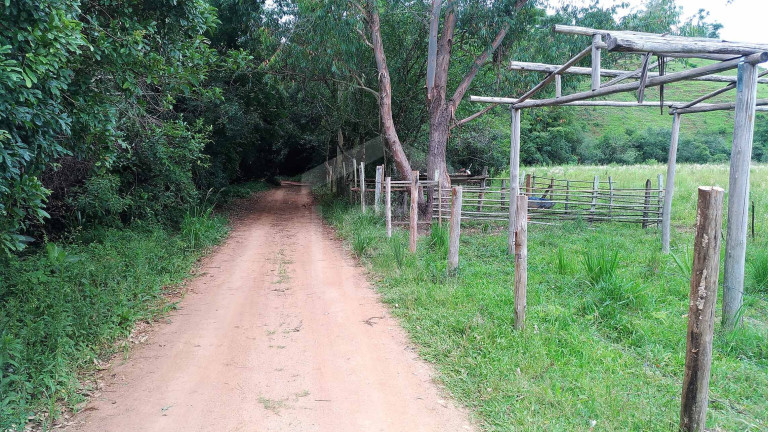 Imagem Imóvel com 1 Quarto à Venda, 20.000 m² em Capituvas (rural) - Bandeira Do Sul Imagem Imóvel com 1 Quarto à Venda, 20.000 m² em Capituvas (rural) - Bandeira Do Sul