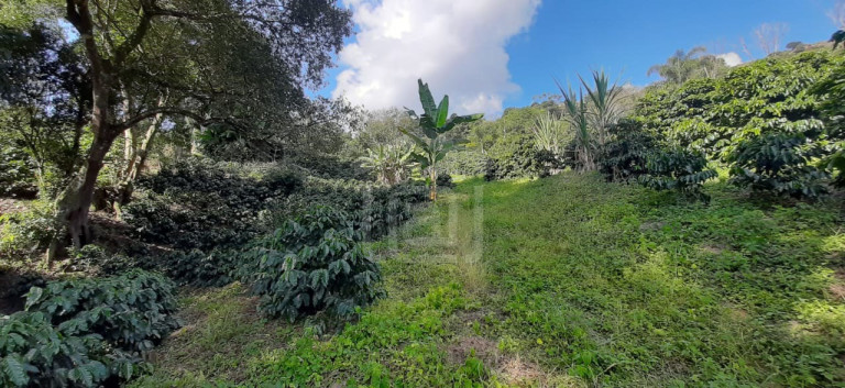 Imagem Imóvel à Venda, 3 m² em Milho Verde - Bandeira Do Sul Imagem Imóvel à Venda, 3 m² em Milho Verde - Bandeira Do Sul