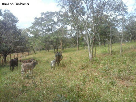Imagem Terreno à Venda, 4 m² em Duque De Caxias - Mateus Leme Imagem Terreno à Venda, 4 m² em Duque De Caxias - Mateus Leme