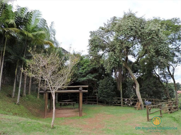 Imagem Casa com 4 Quartos à Venda, 510 m² em Granja Viana - Carapicuíba