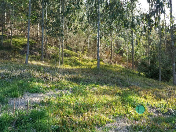 Imagem Imóvel com 2 Quartos à Venda, 50.000 m² em Zona Rural - Alfredo Wagner Imagem Imóvel com 2 Quartos à Venda, 50.000 m² em Zona Rural - Alfredo Wagner