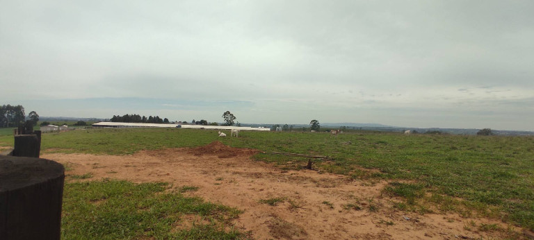 Imagem Chácara com 3 Quartos à Venda, 774 m² em Zona Rural - Alambari Imagem Chácara com 3 Quartos à Venda, 774 m² em Zona Rural - Alambari