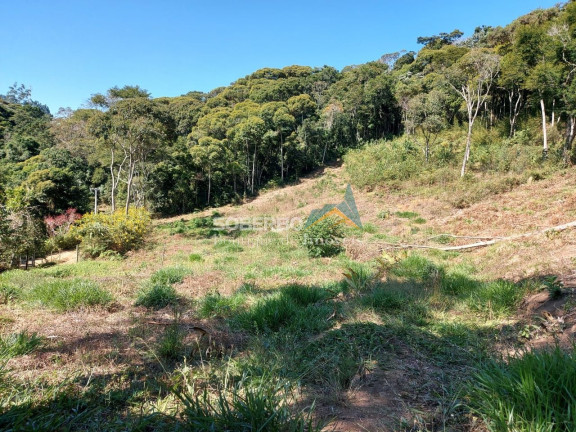 Imagem Imóvel com 3 Quartos à Venda, 70.000 m² em Vargem Grande - Teresópolis Imagem Imóvel com 3 Quartos à Venda, 70.000 m² em Vargem Grande - Teresópolis
